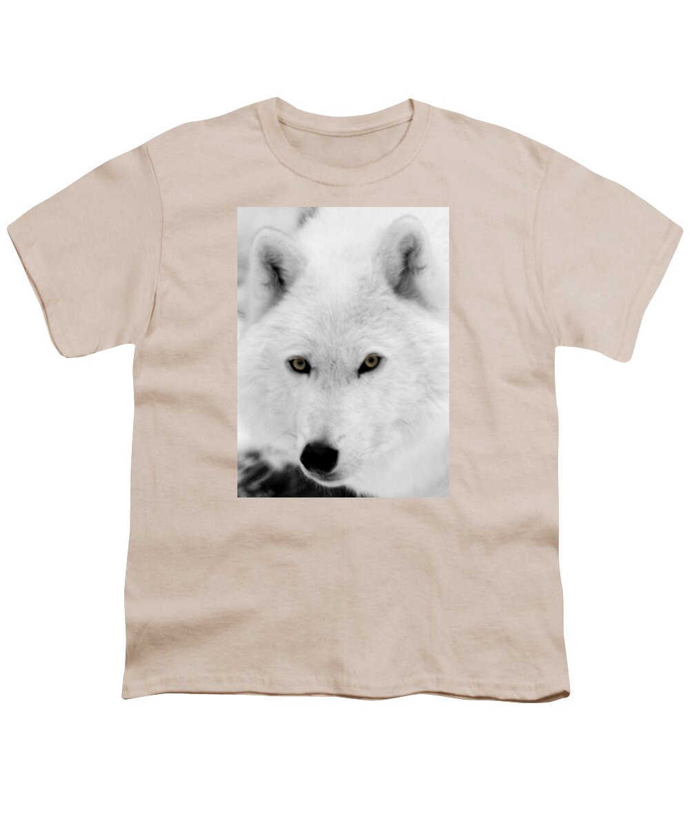 Arctic Wolf Youth T-Shirt featuring the photograph Look into my eyes by Larry Ricker