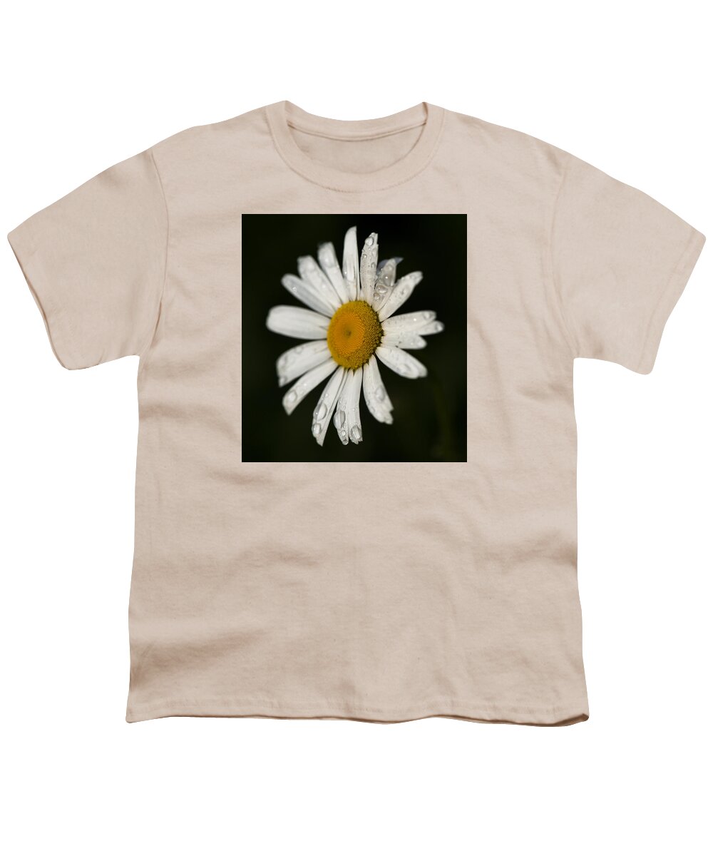  Youth T-Shirt featuring the photograph Morning Daisy by Dan Hefle