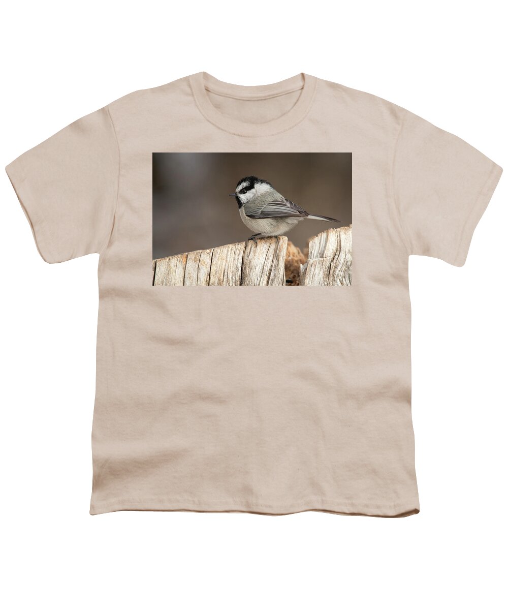 Bird Youth T-Shirt featuring the photograph Mountain Chickadee by Celine Pollard