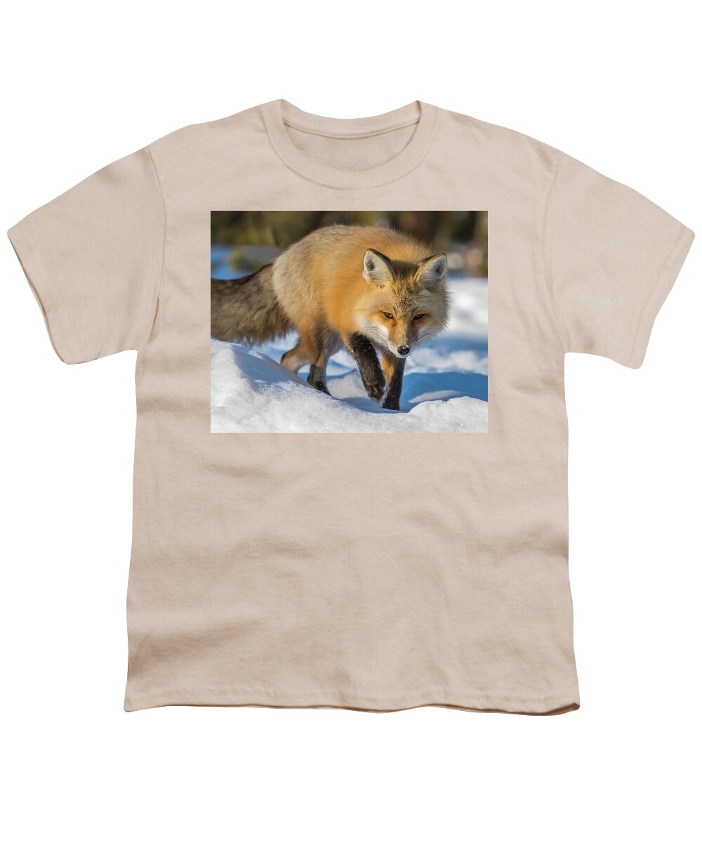 Red Fox Youth T-Shirt featuring the photograph On Point by Yeates Photography