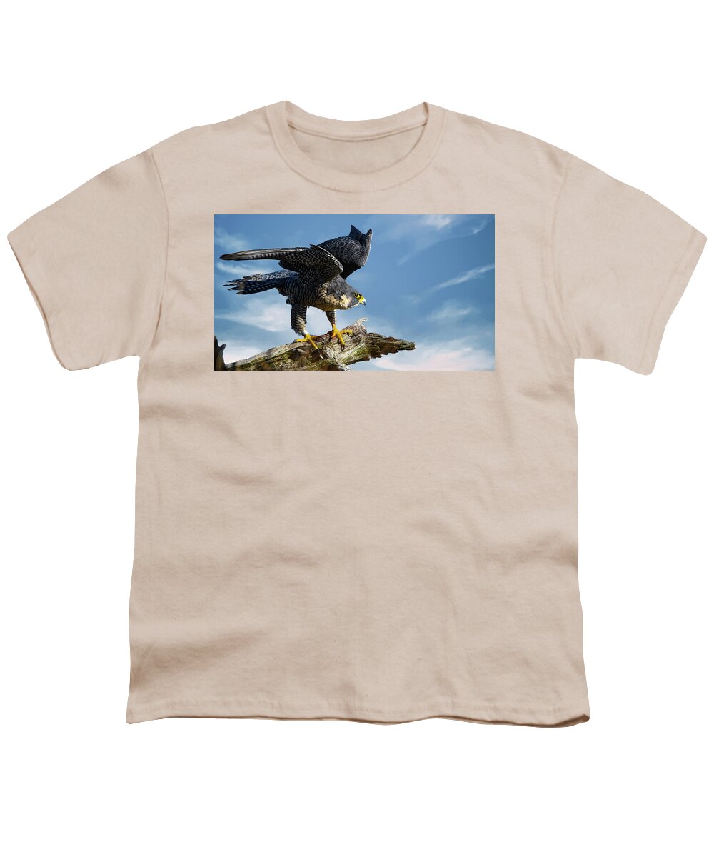 Peregrine Falcon Youth T-Shirt featuring the photograph Peregrine falcon by Sam Rino