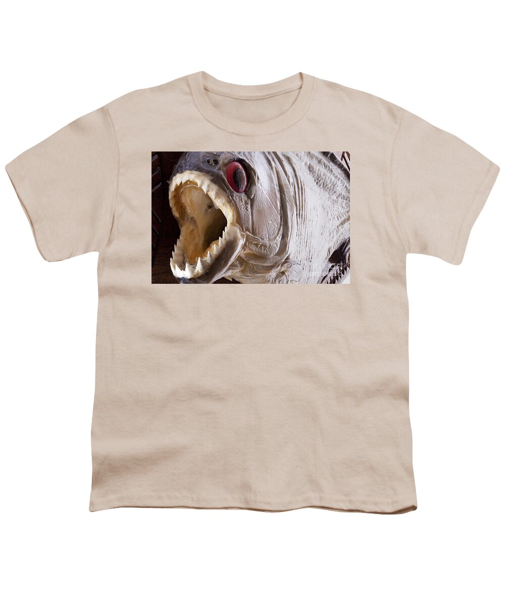 Piranha Youth T-Shirt featuring the photograph Piranha fish close up by Simon Bratt