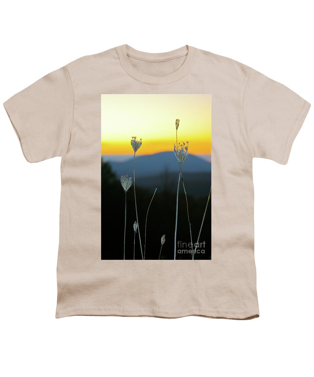 Queen Anne's Lace Youth T-Shirt featuring the photograph Queen Anne's Lace Sunrise I by Karen Jorstad