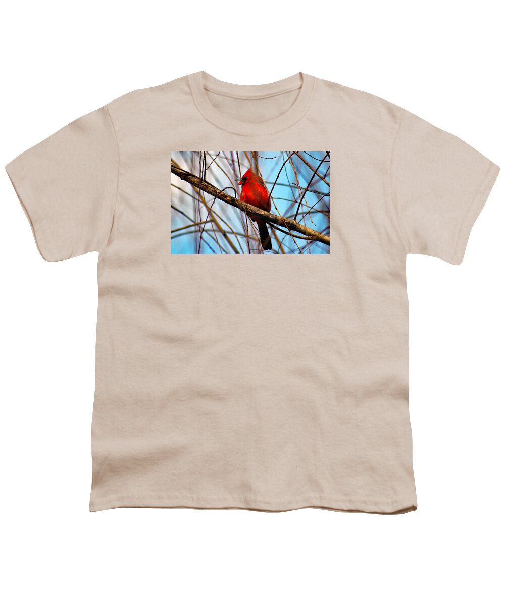 Redbird Youth T-Shirt featuring the photograph Red Bird Sitting Patiently by DB Hayes