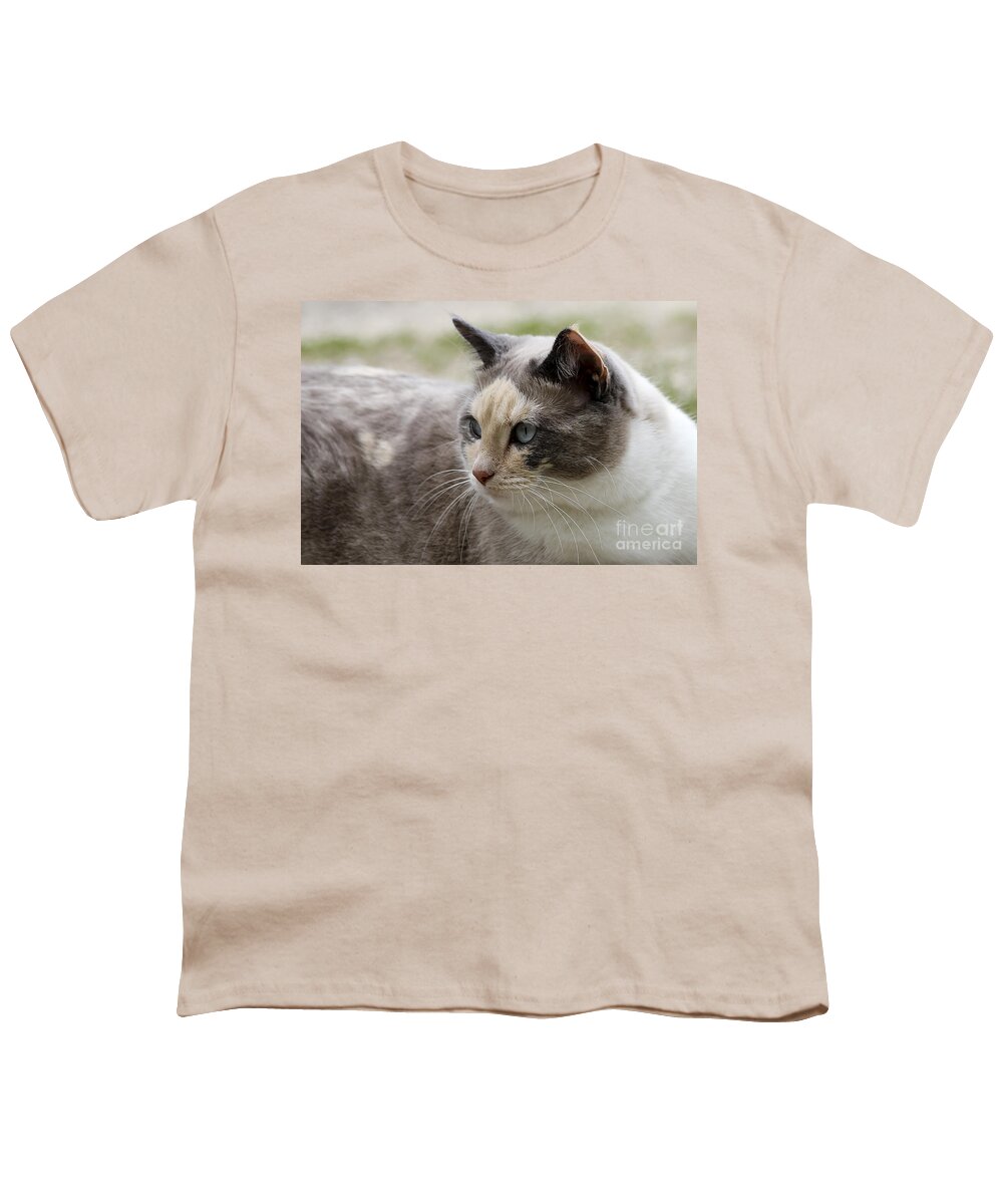 Animal Youth T-Shirt featuring the photograph Relaxed by Teresa Zieba