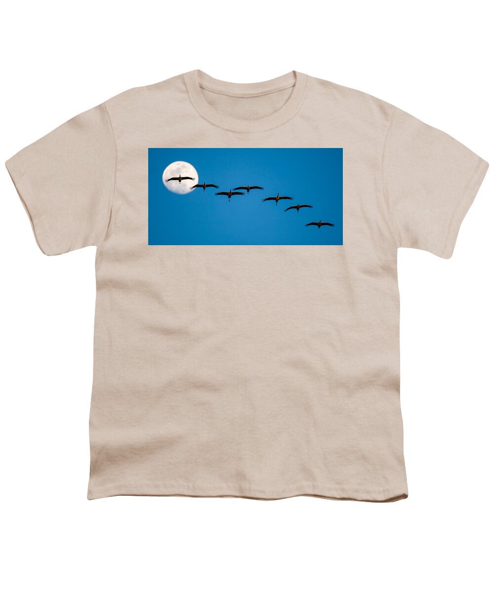 Bird Youth T-Shirt featuring the photograph Sandhill Cranes and Full Moon by Jeff Phillippi