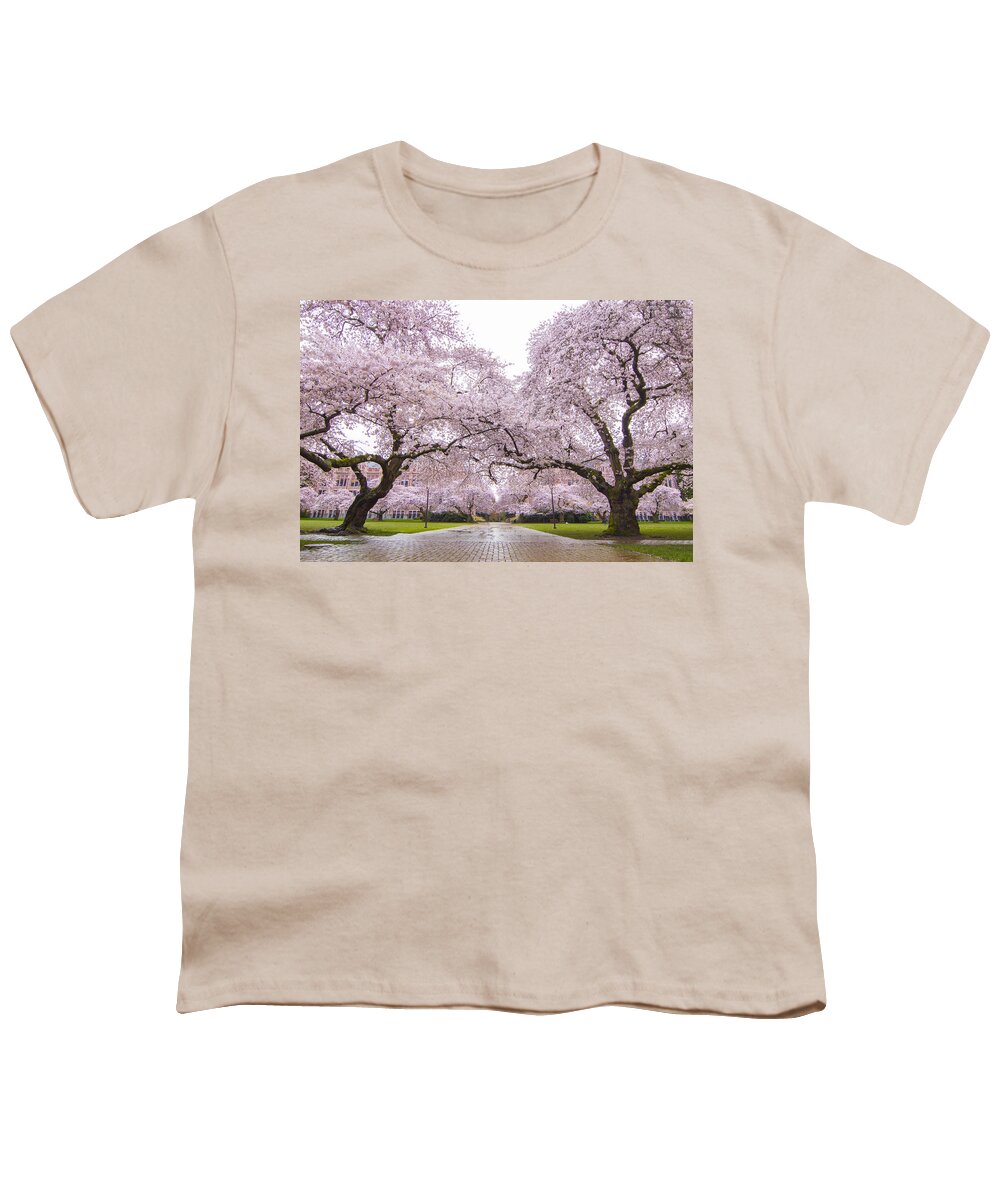 Pink Youth T-Shirt featuring the photograph Seattle Spring Cherry Trees in Bloom by Matt McDonald