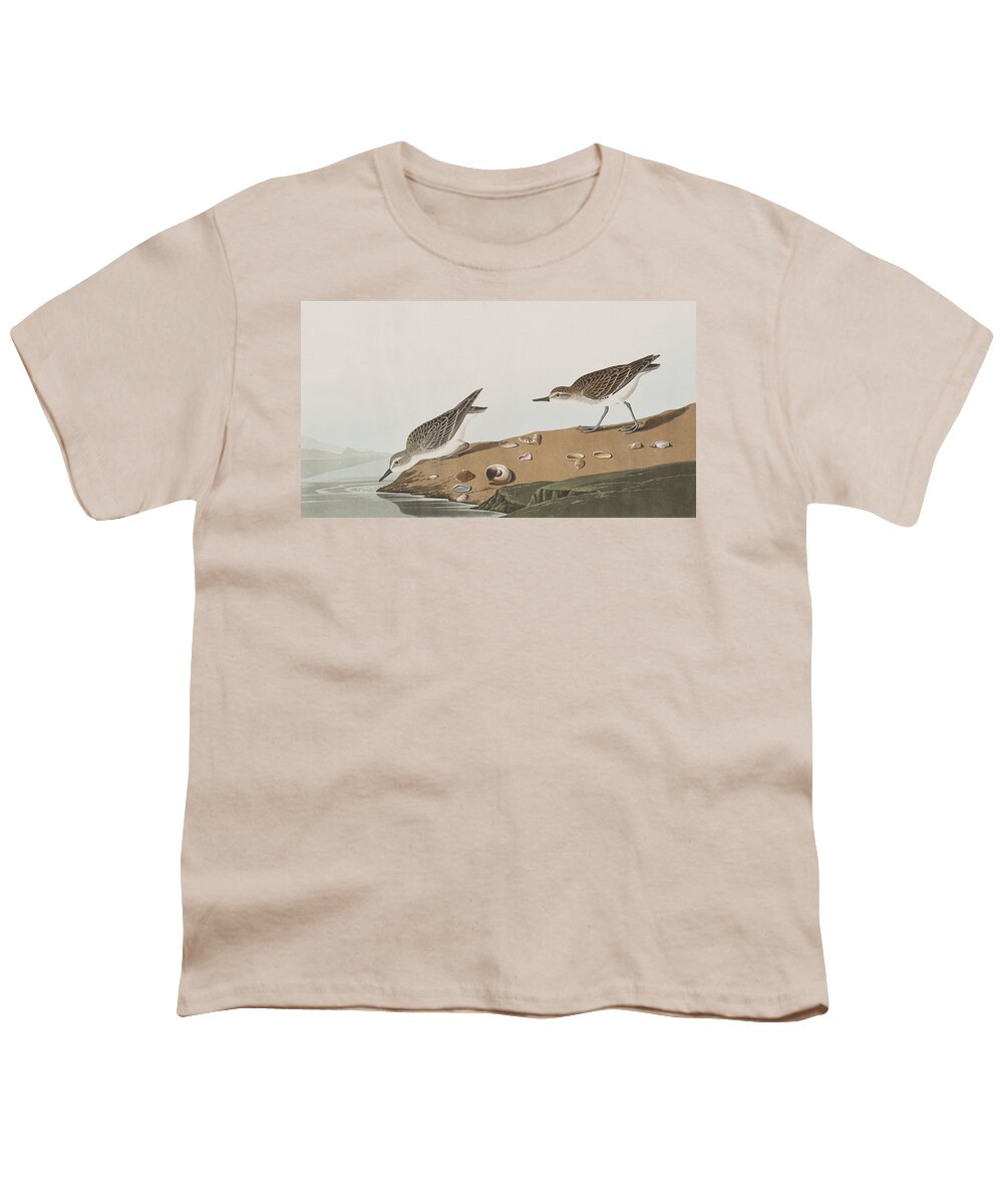 Sandpiper Youth T-Shirt featuring the painting Semipalmated Sandpiper by John James Audubon
