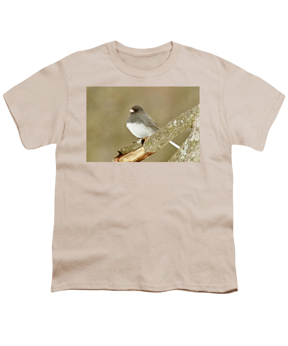 Bird Youth T-Shirt featuring the photograph Slate-colored Dark-eyed Junco 3126 by Michael Peychich
