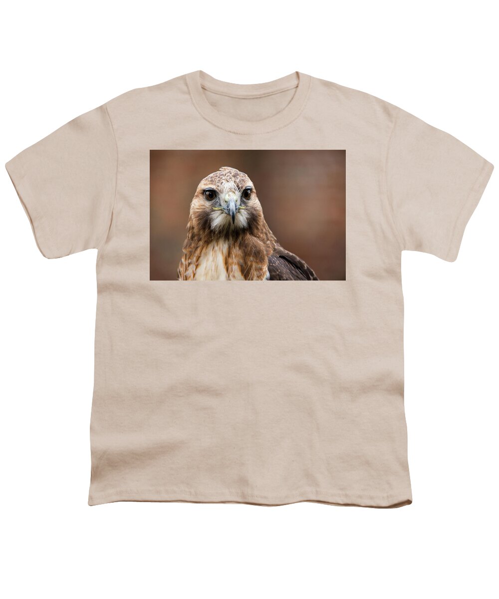 Animals Youth T-Shirt featuring the photograph Smiling Bird of Prey by Dennis Dame