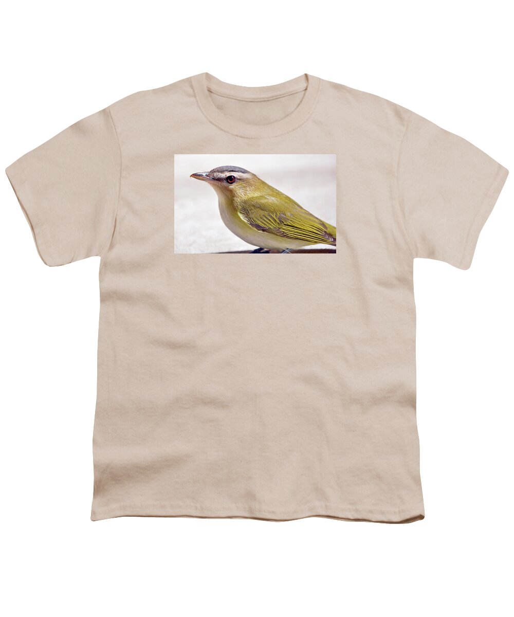 Goldfinch Youth T-Shirt featuring the photograph Smooth by Glenn Gordon