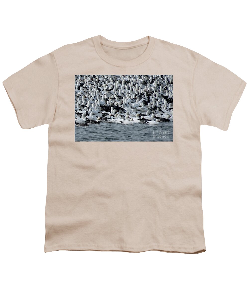 Birds Youth T-Shirt featuring the photograph Snow Goose by Yumi Johnson