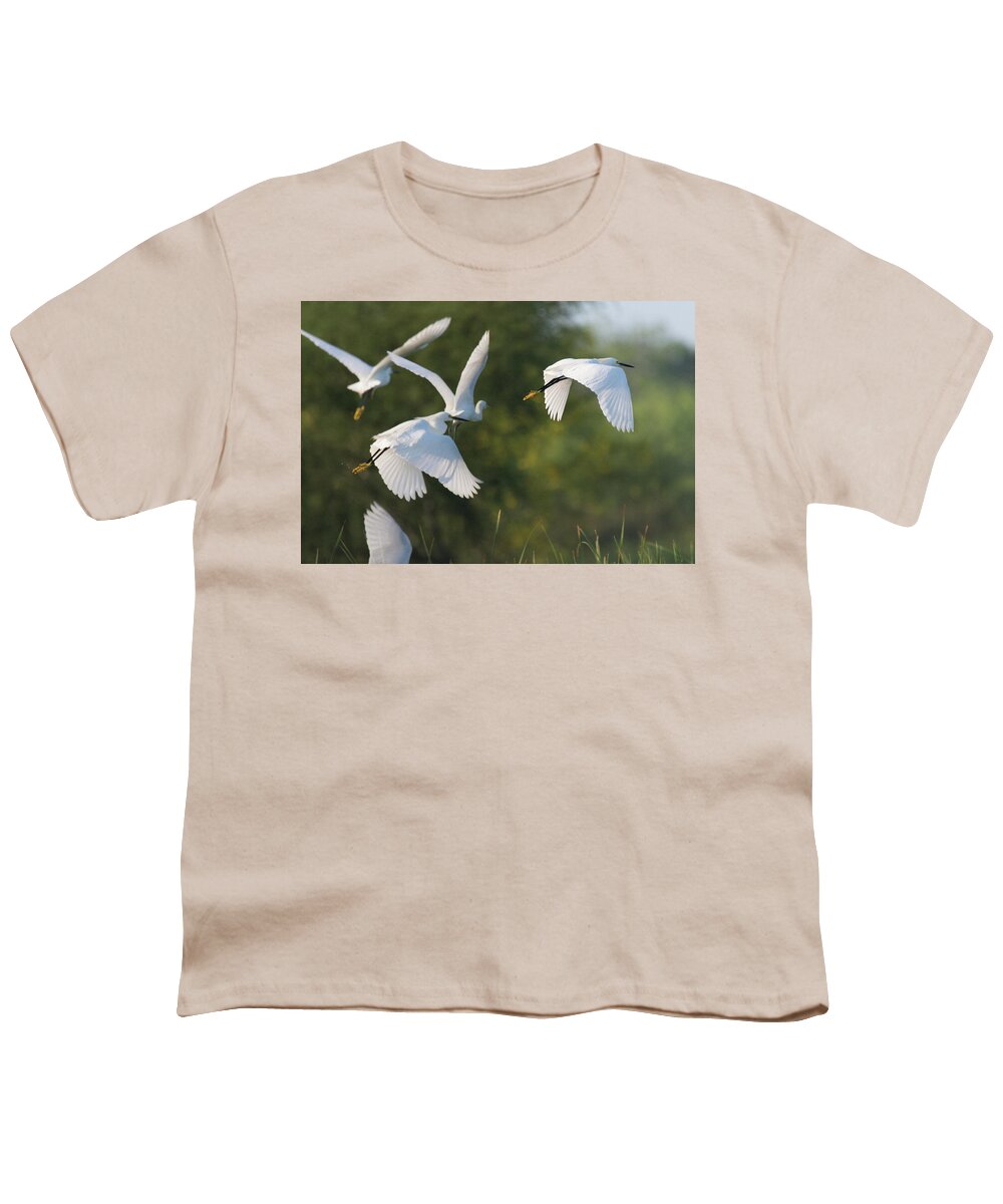 Debra Martz Youth T-Shirt featuring the photograph Snowy Egrets Taking Flight by Debra Martz