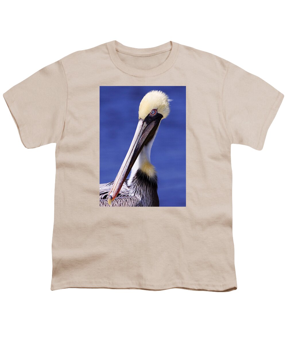 Southport Youth T-Shirt featuring the photograph Southport Pelican by Nick Noble