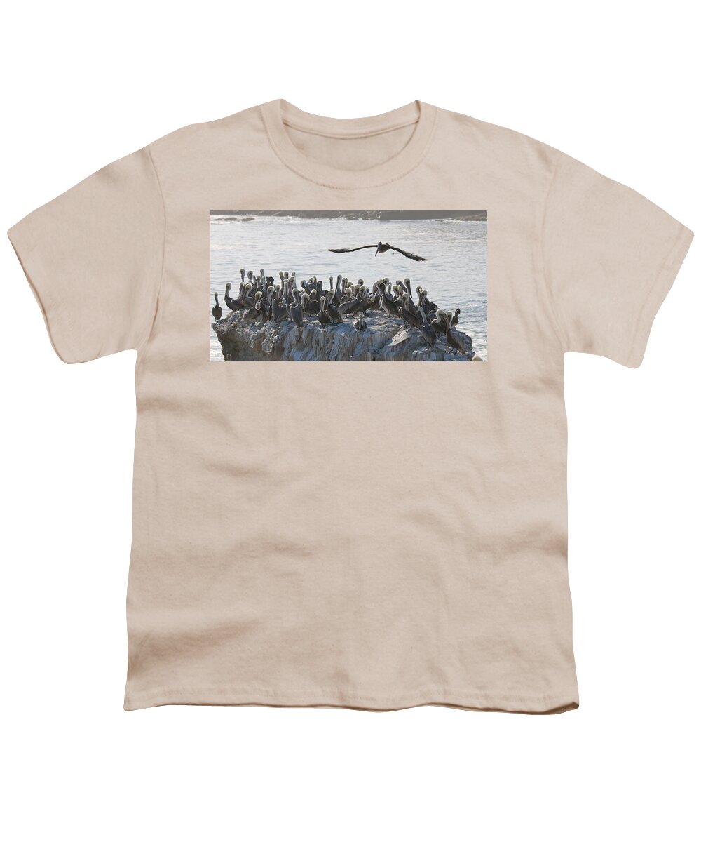 Wild Brown Pelican Youth T-Shirt featuring the photograph Spread Your Wings and Hope for the Best by Christy Pooschke