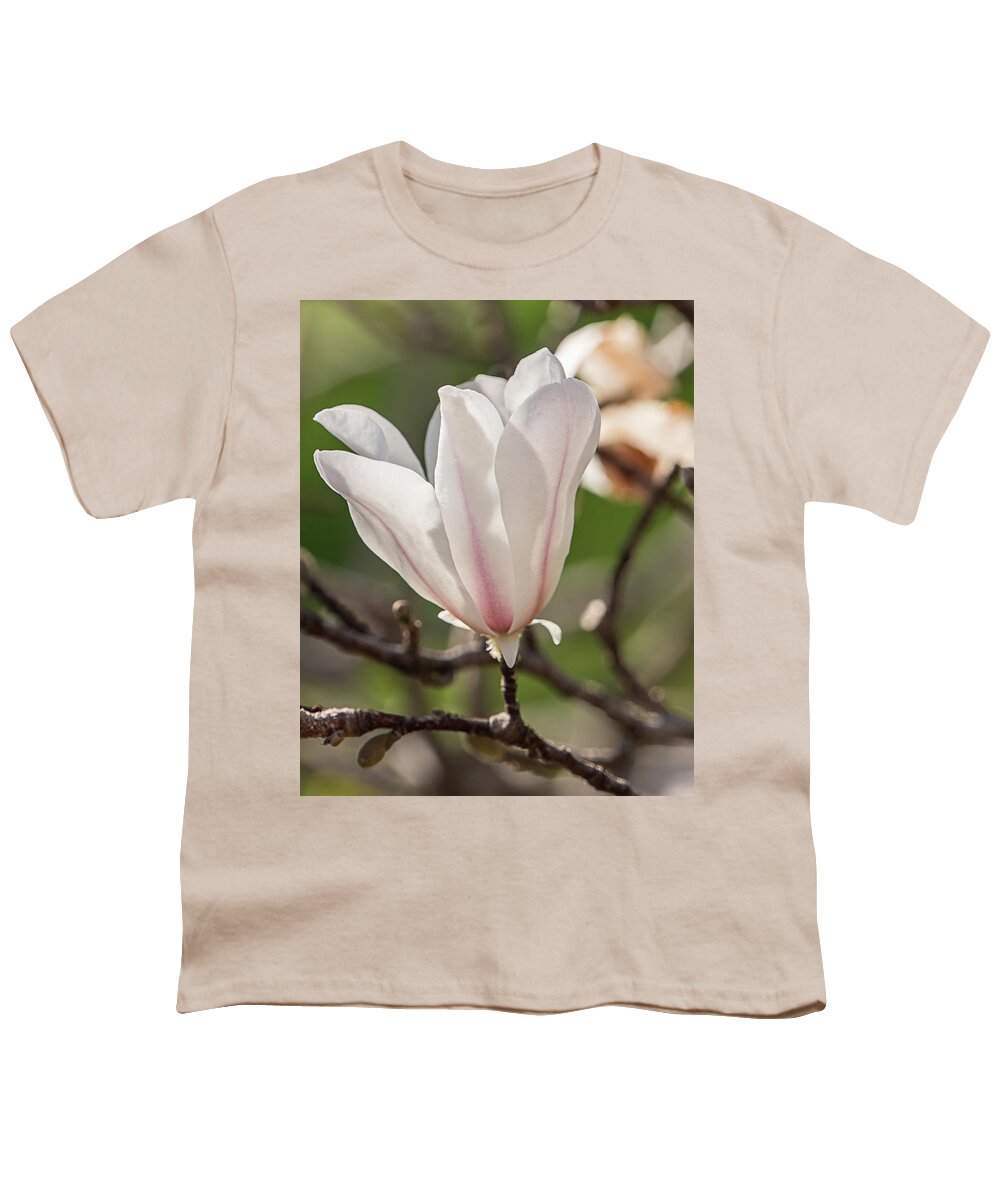 Magnolia Youth T-Shirt featuring the photograph Spring Magnolia in Dallas by Teresa Wilson