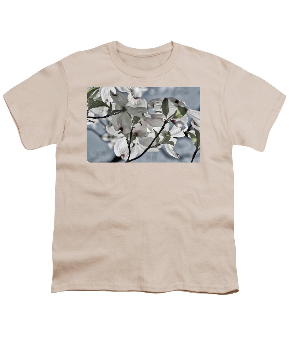 Tree Youth T-Shirt featuring the photograph Sunlit Dogwood by Harold Rau