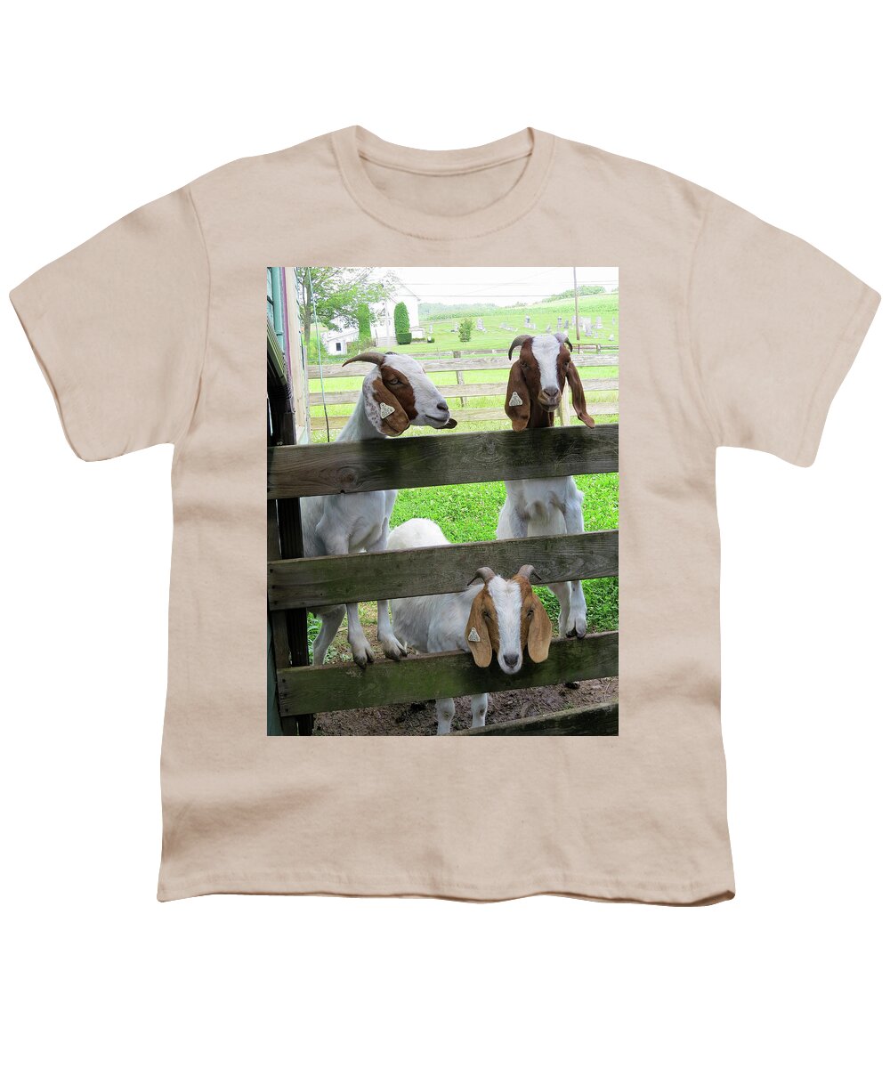 Goats Youth T-Shirt featuring the photograph The Real Three Billy Goats Gruff by Linda Stern