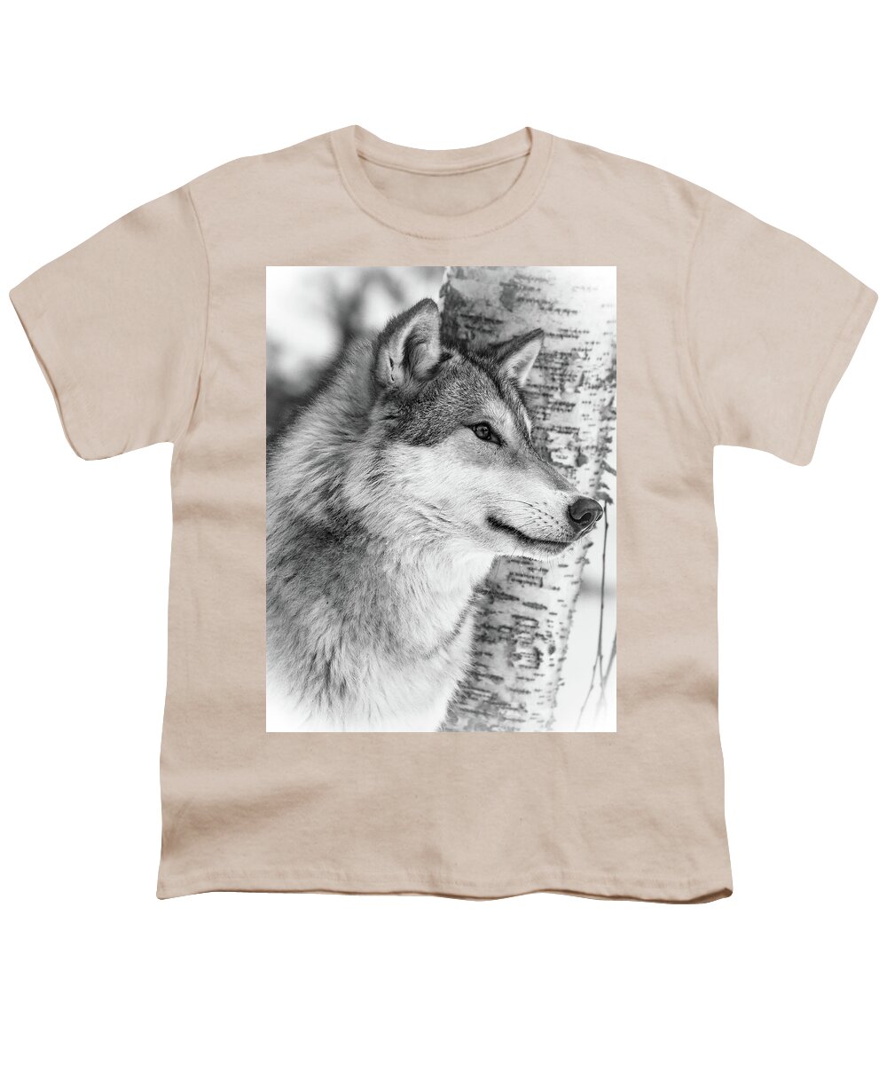 Wolf Youth T-Shirt featuring the photograph Timber Wolf by Athena Mckinzie