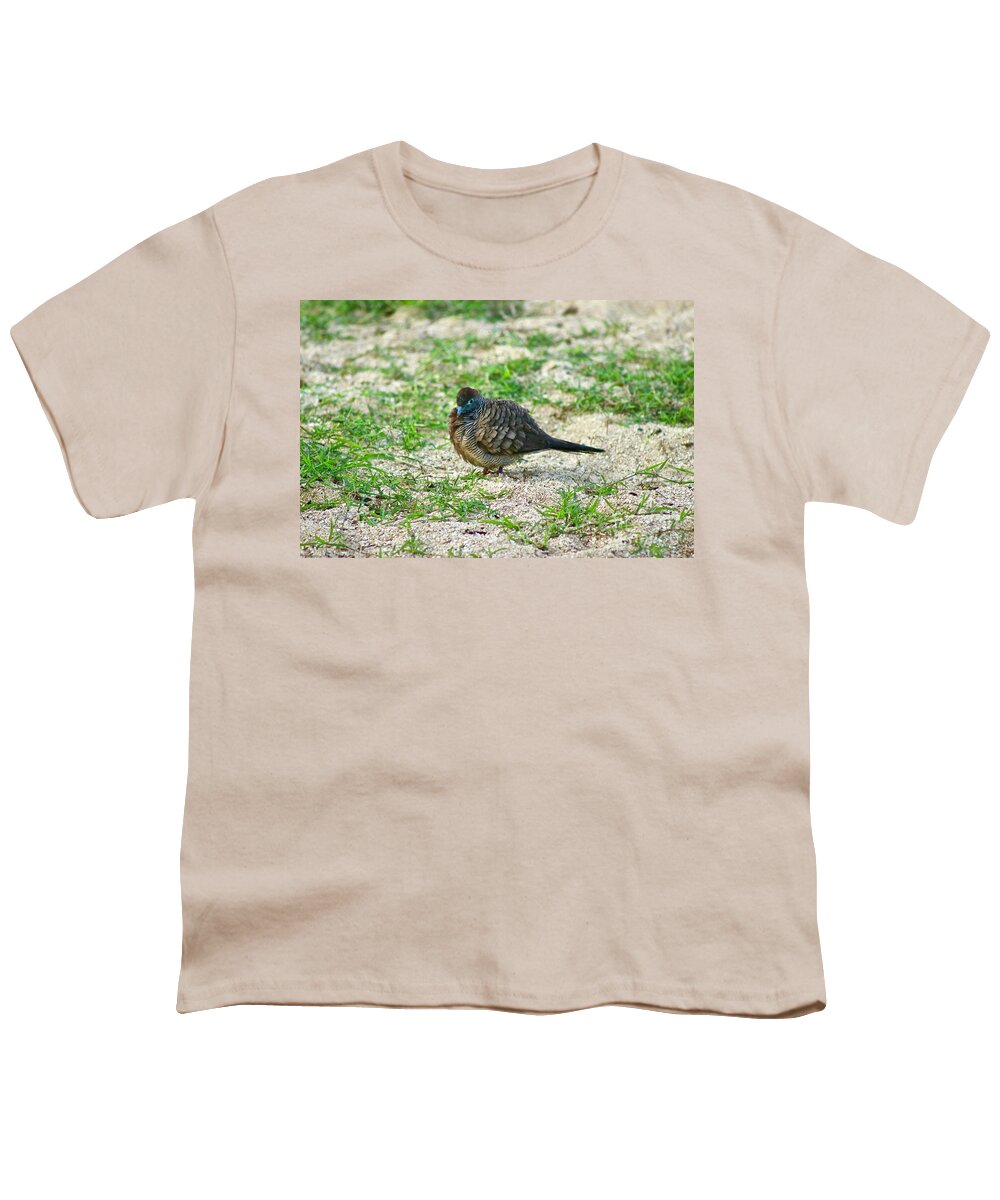 Dove Youth T-Shirt featuring the photograph Warming Up by Craig Wood