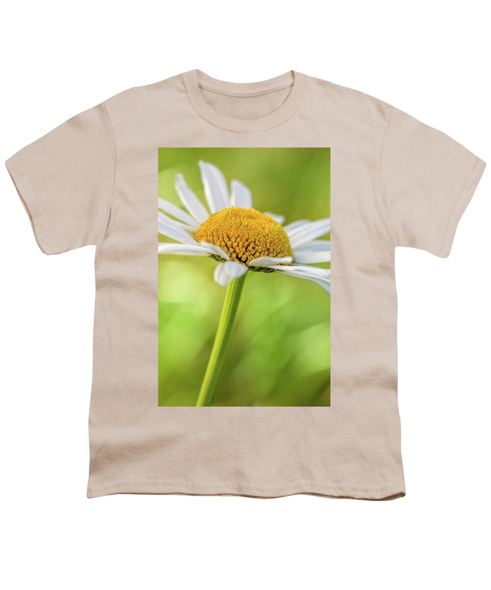 Bloom Youth T-Shirt featuring the photograph Daisy by Ron Pate