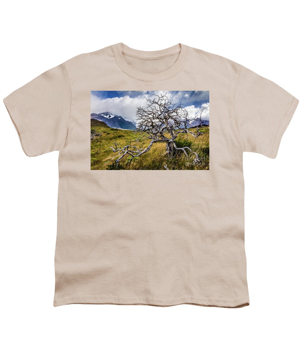 Tree Youth T-Shirt featuring the photograph Burnt tree, Torres del Paine, Chile by Lyl Dil Creations