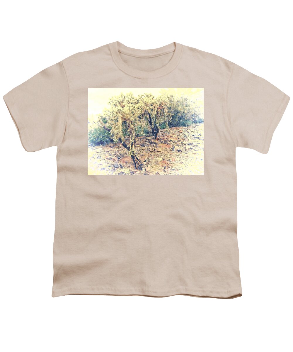 Affordable Youth T-Shirt featuring the photograph Chain Fruit Cholla by Judy Kennedy