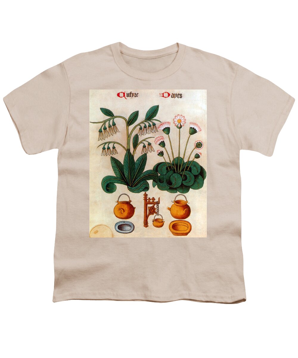 Bellis Perennis Youth T-Shirt featuring the photograph Common Daisy by Bug Sutton