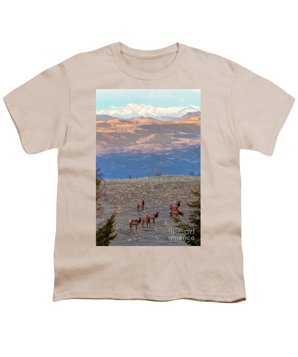 Elk Youth T-Shirt featuring the photograph Elk Herd by Steven Krull