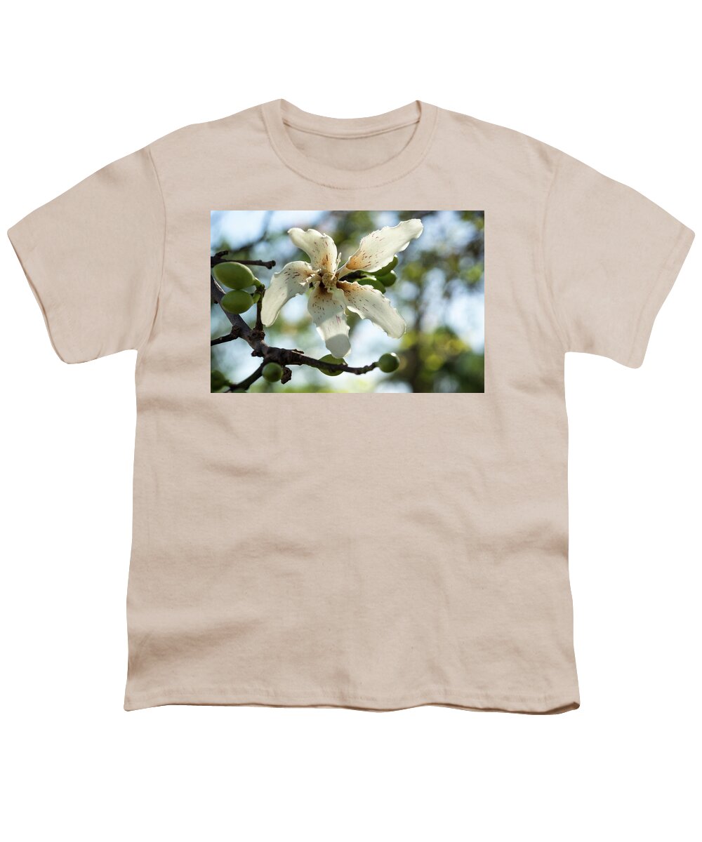 Georgia Mizuleva Youth T-Shirt featuring the photograph Exotic Flower - Blooming Silk Floss Tree Ceiba Speciosa by Georgia Mizuleva