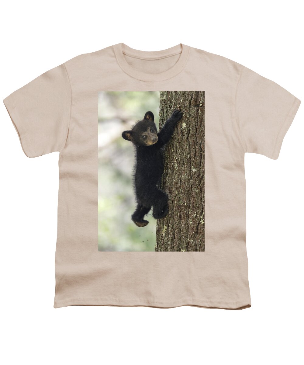 Bear Youth T-Shirt featuring the photograph Hang In There by Everet Regal