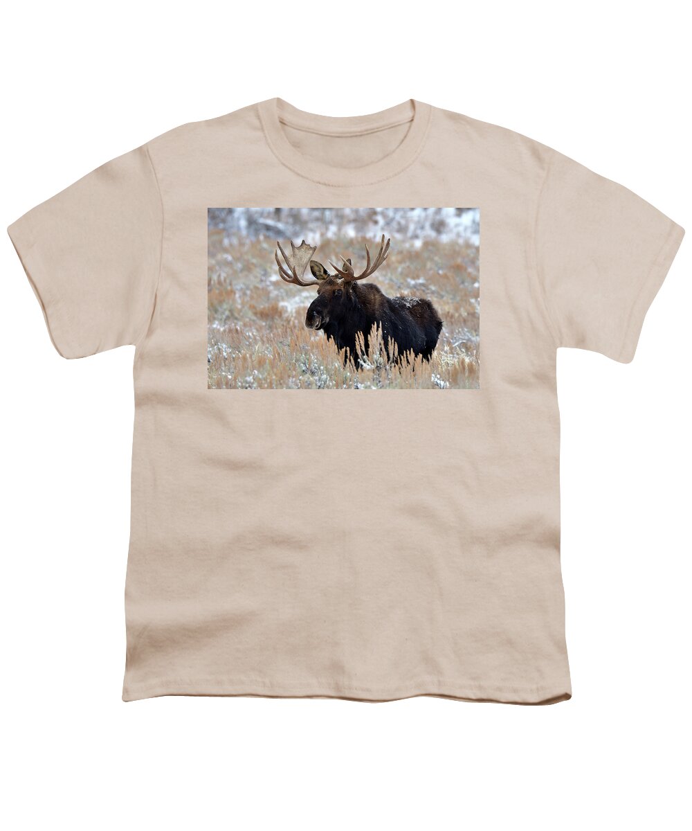 Moose Youth T-Shirt featuring the photograph Morning Moose by Michael Morse