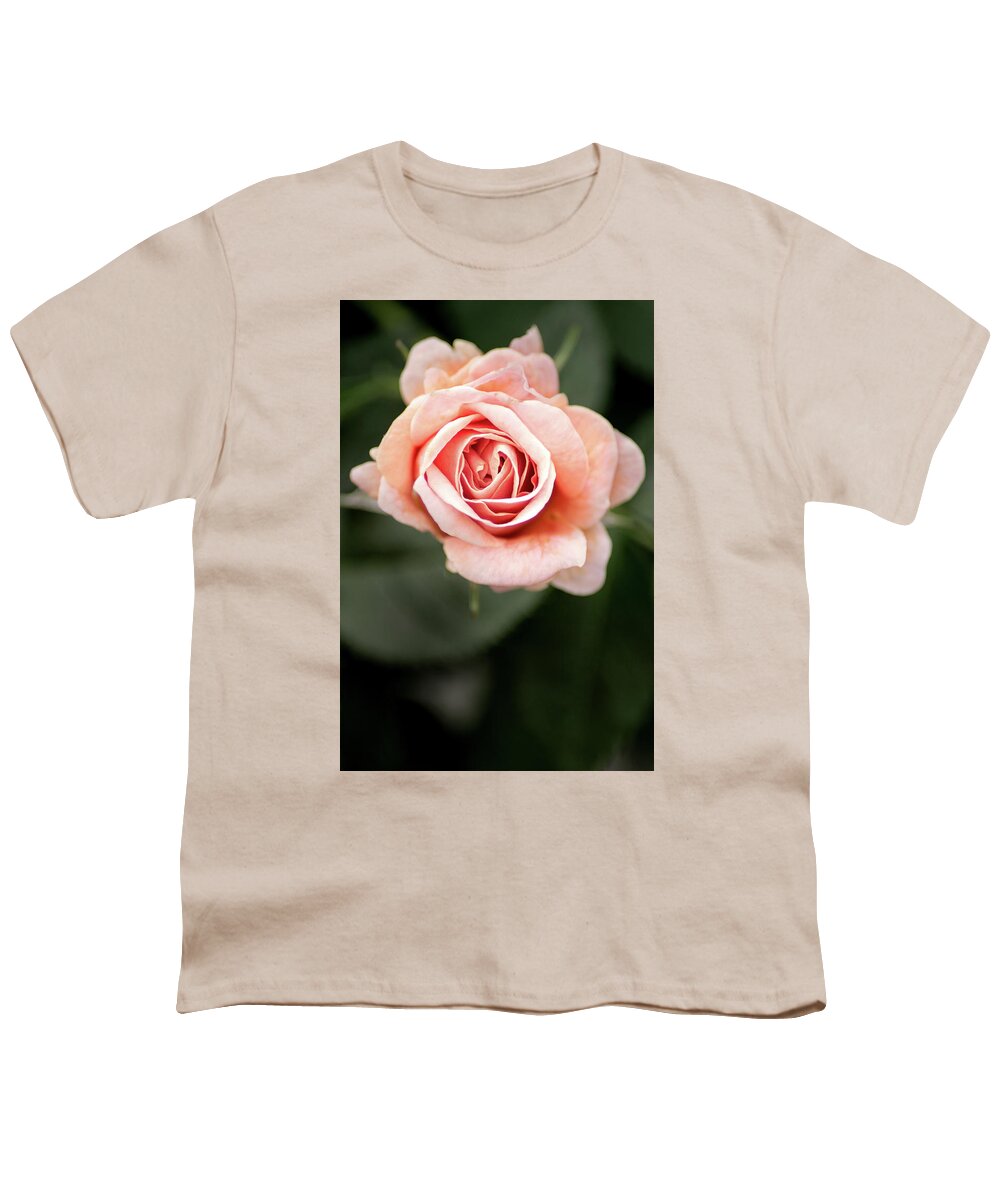 Flower Youth T-Shirt featuring the photograph Small Pink Rose by Don Johnson