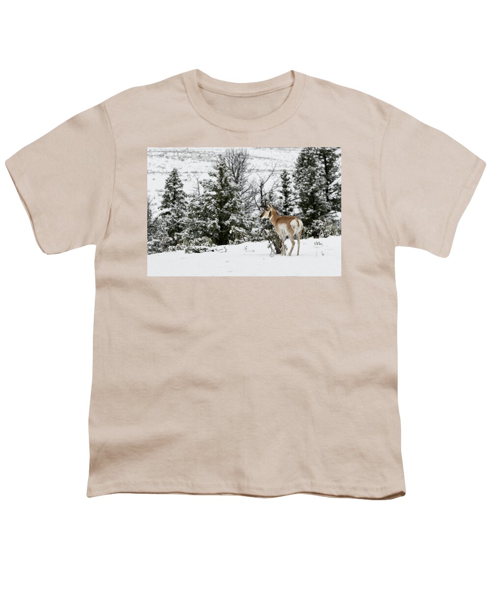 Pronghorn Youth T-Shirt featuring the photograph Standing Proud by Ronnie And Frances Howard
