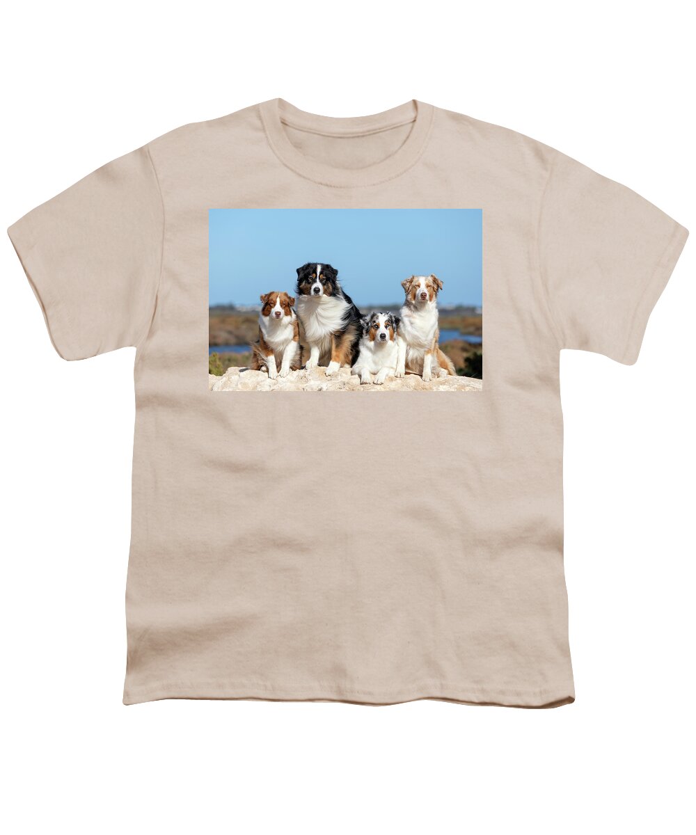 Australian Shepherd Youth T-Shirt featuring the photograph Australian Shepherds #4 by Diana Andersen