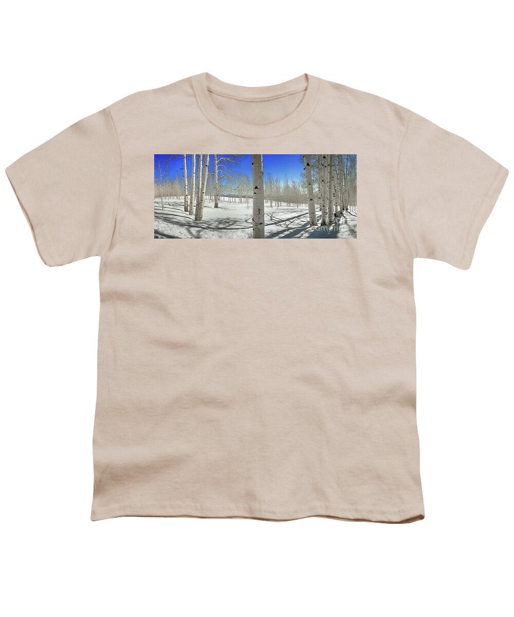 Aspen Youth T-Shirt featuring the photograph ASPEN MEADOW SPRINGTIME, Utah by Don Schimmel