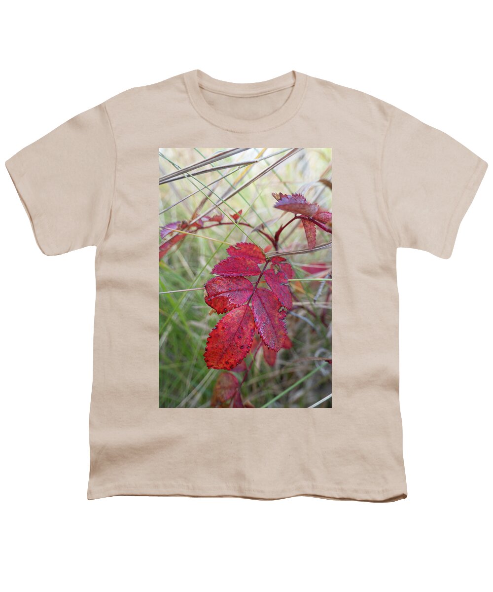 Red Youth T-Shirt featuring the photograph Autumn Wild Rose Leaves by Karen Rispin