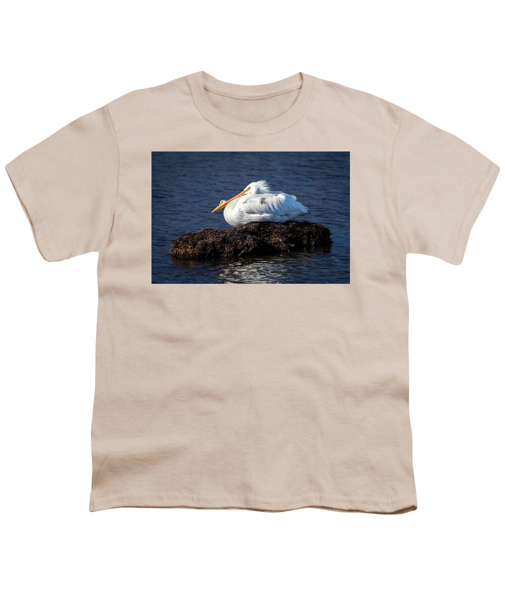 White Pelican Youth T-Shirt featuring the photograph Blackwater White Pelican by C Renee Martin