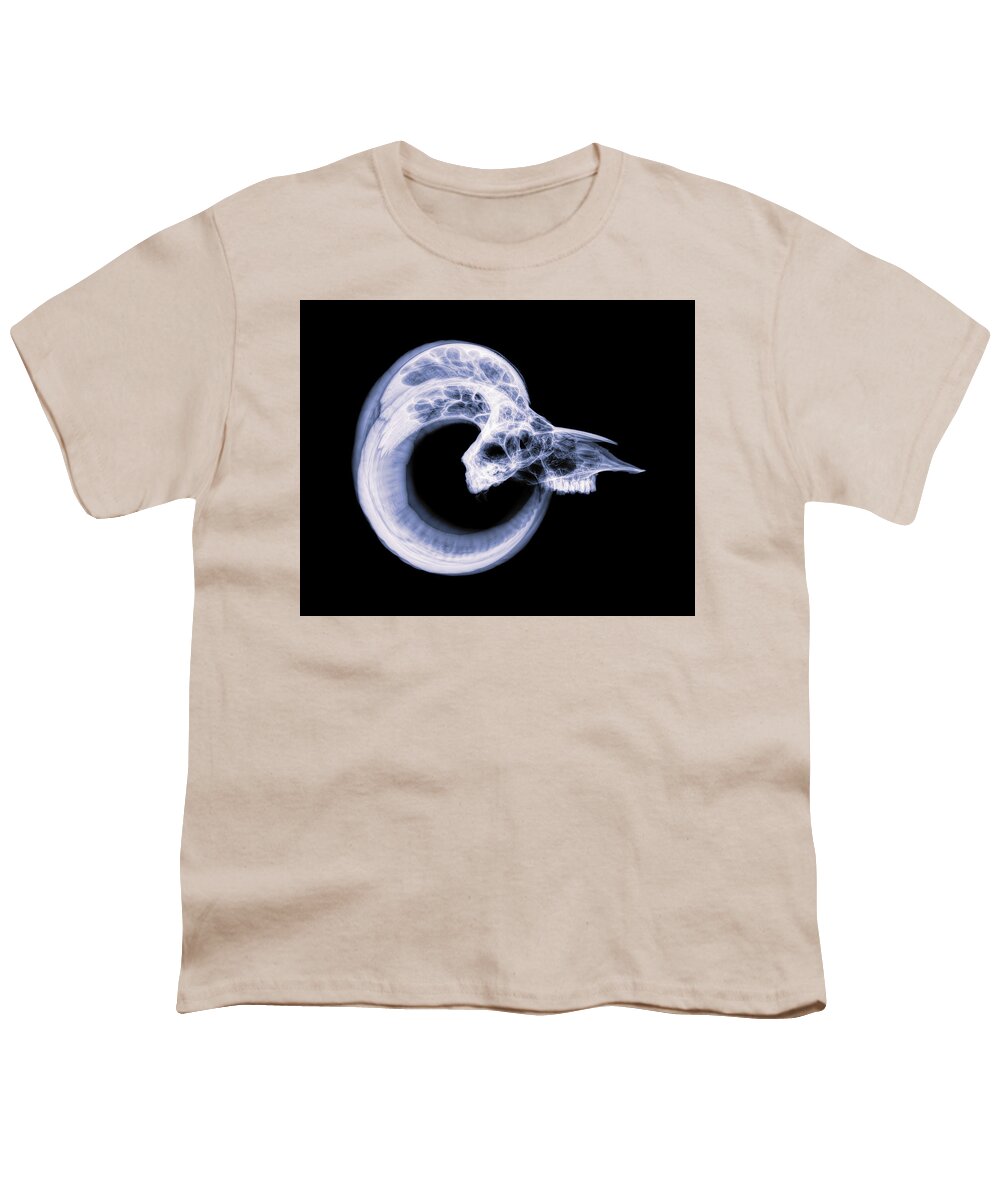 Mammal Youth T-Shirt featuring the photograph Dall Sheep -27 by Rob Graham