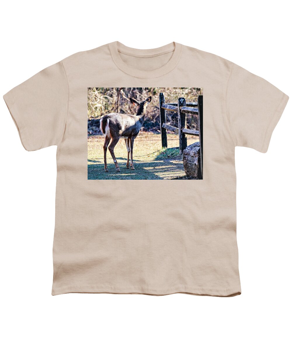 Deer Fence Youth T-Shirt featuring the photograph Deer3 by John Linnemeyer