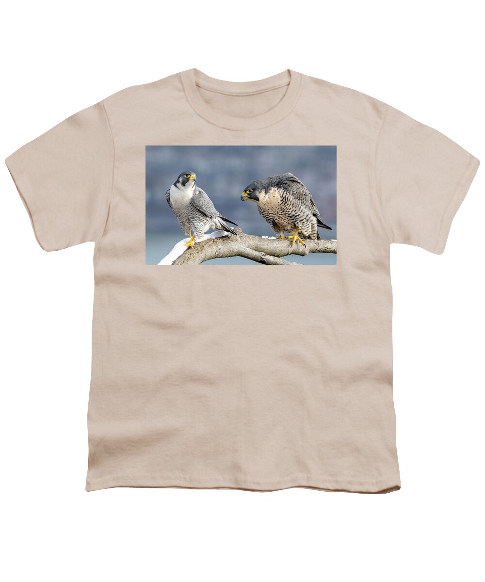 Birds Youth T-Shirt featuring the photograph Falcons in Winter by Kevin Suttlehan