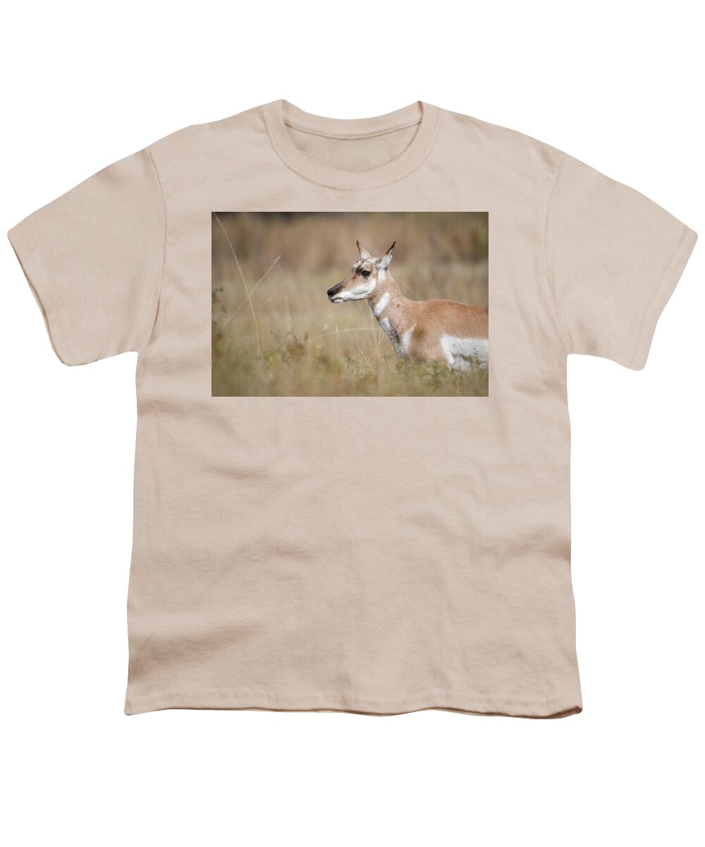 Montana Youth T-Shirt featuring the photograph Female Pronghorn by Constance Puttkemery