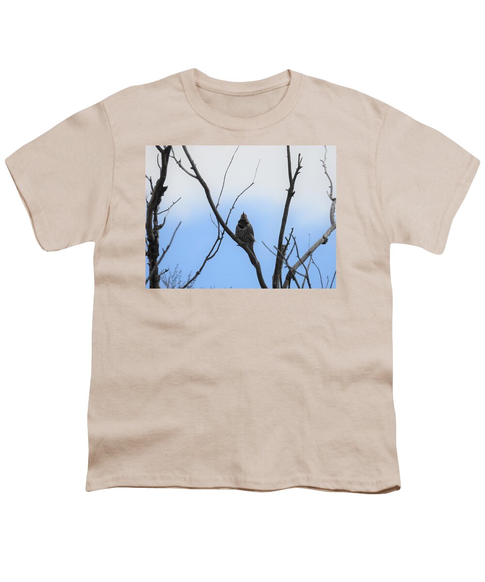 Northern Flicker Youth T-Shirt featuring the photograph Flicker by Amanda R Wright
