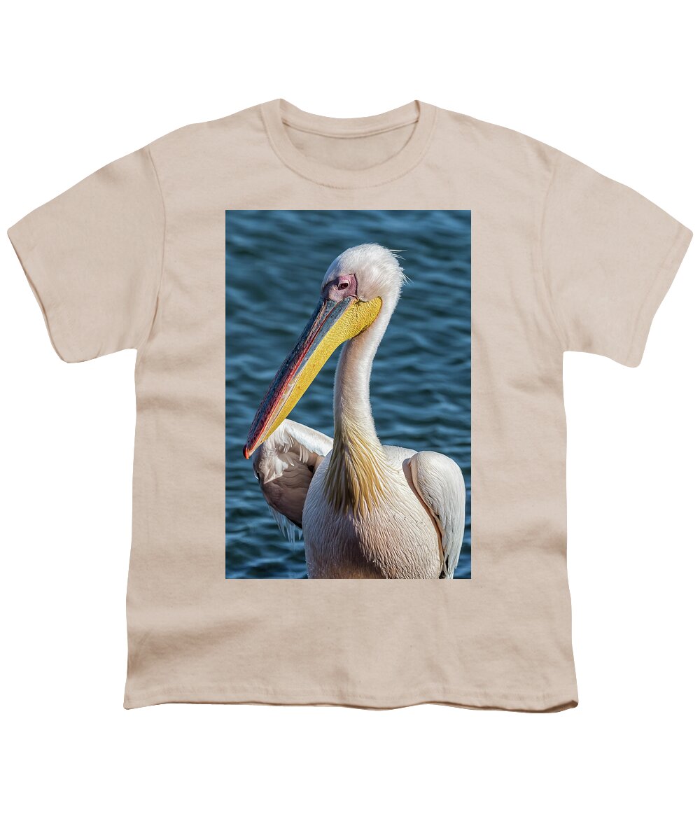 Great White Pelican Youth T-Shirt featuring the photograph Great White Pelican, Profile by Belinda Greb