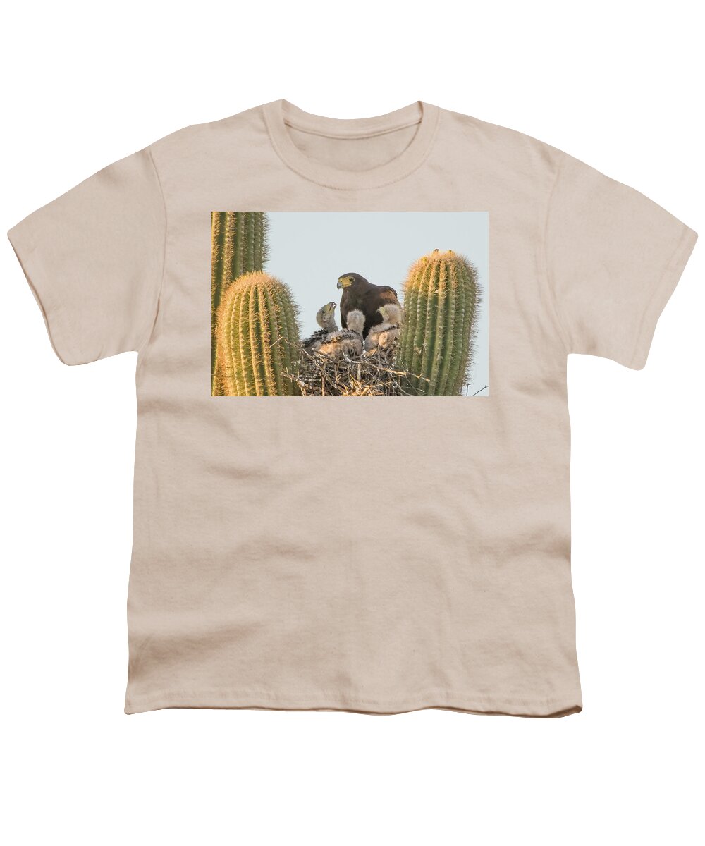 Harris Hawks Youth T-Shirt featuring the photograph Harris Hawk Adult and Chicks 7955-050922-3 by Tam Ryan
