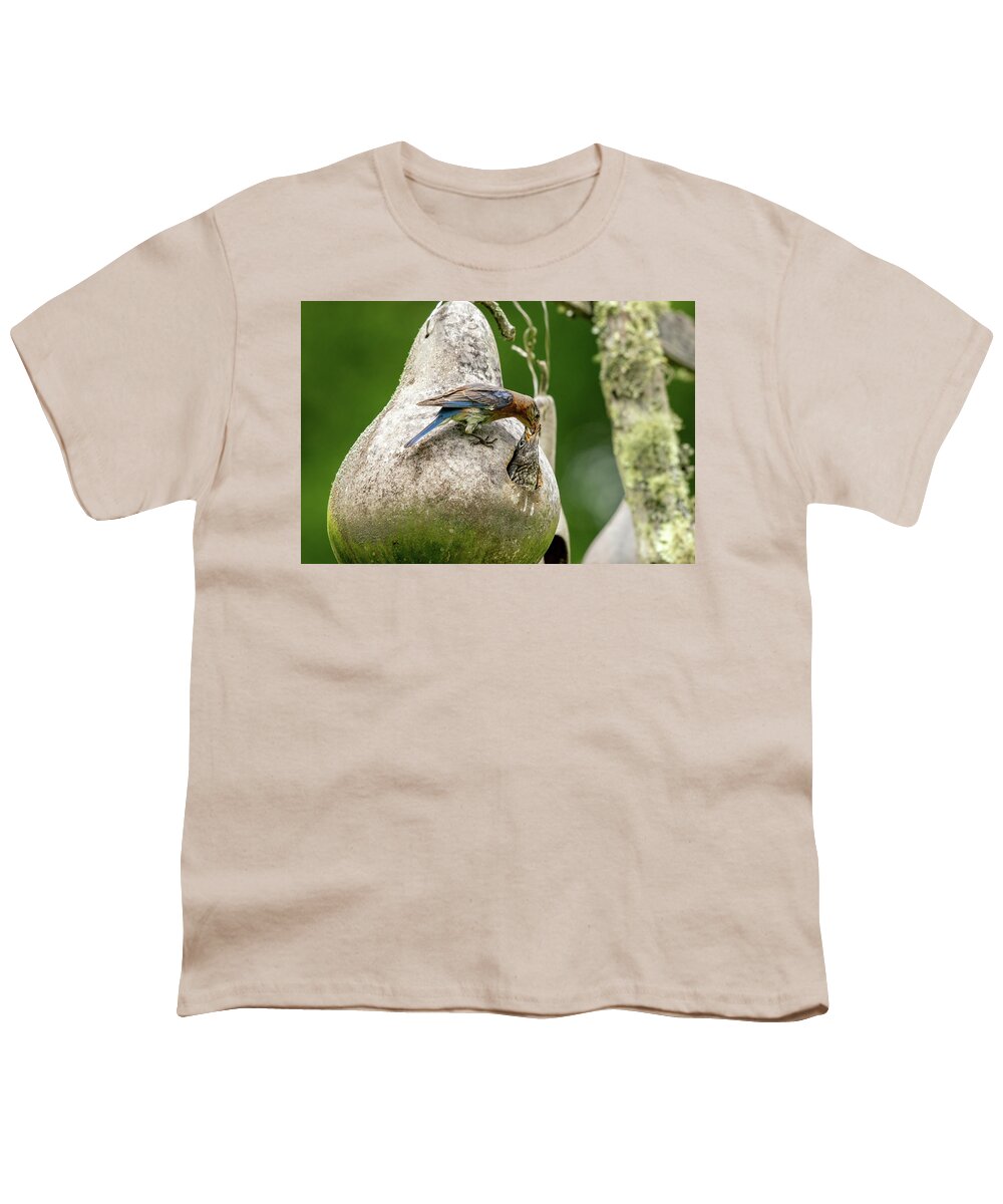 Blue Ridge Parkway Youth T-Shirt featuring the photograph Hungry Little Bluebird by Robert J Wagner