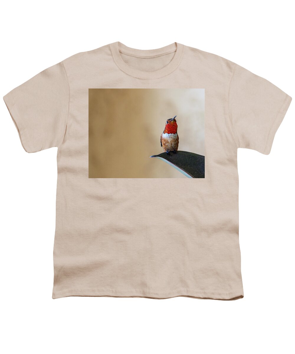 Hummingbirds Youth T-Shirt featuring the photograph Don't Know What That Is But I'm Gonna Eat It by Joe Schofield