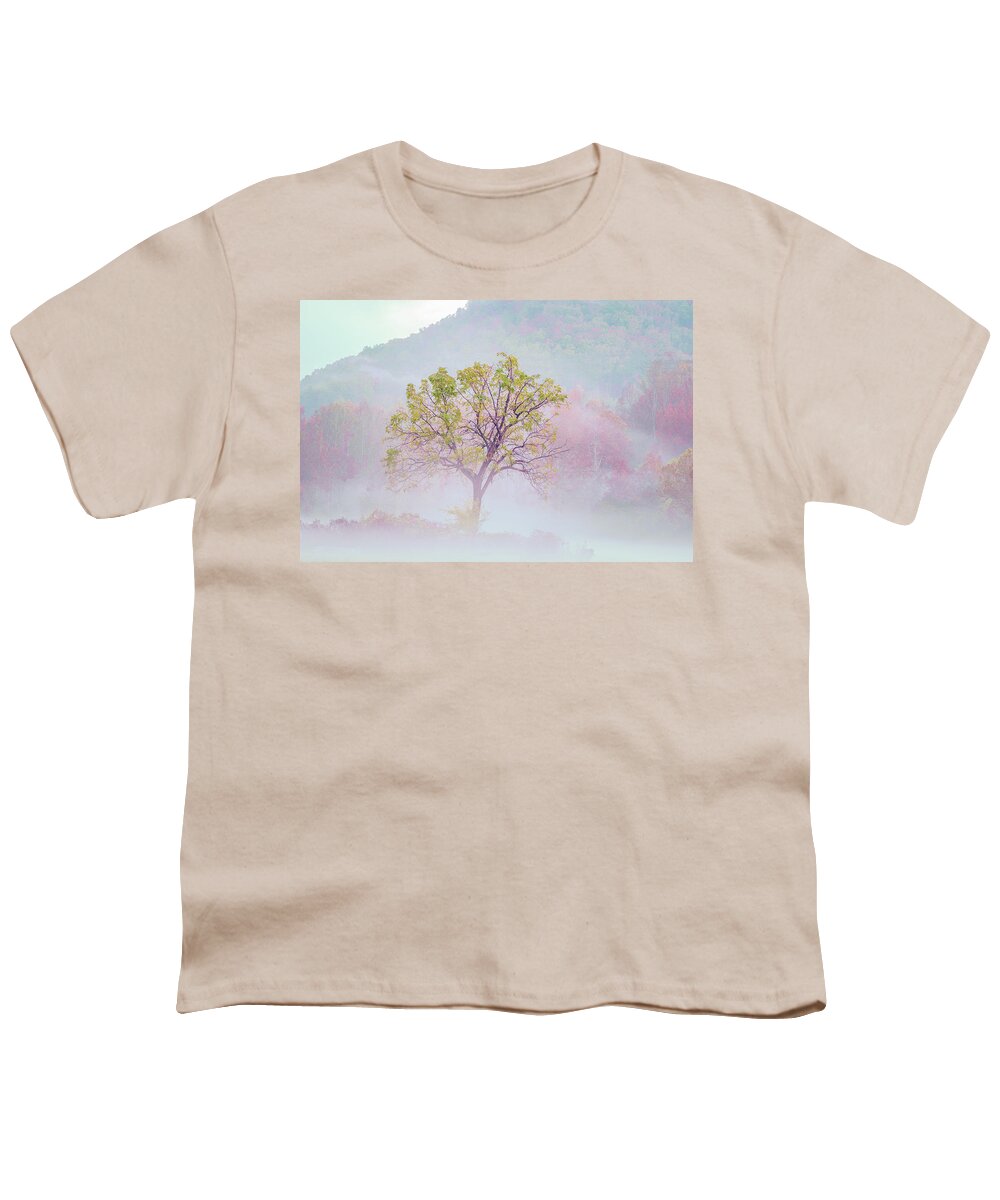 Fall Colors Youth T-Shirt featuring the photograph Lonely Tree by Darrell DeRosia