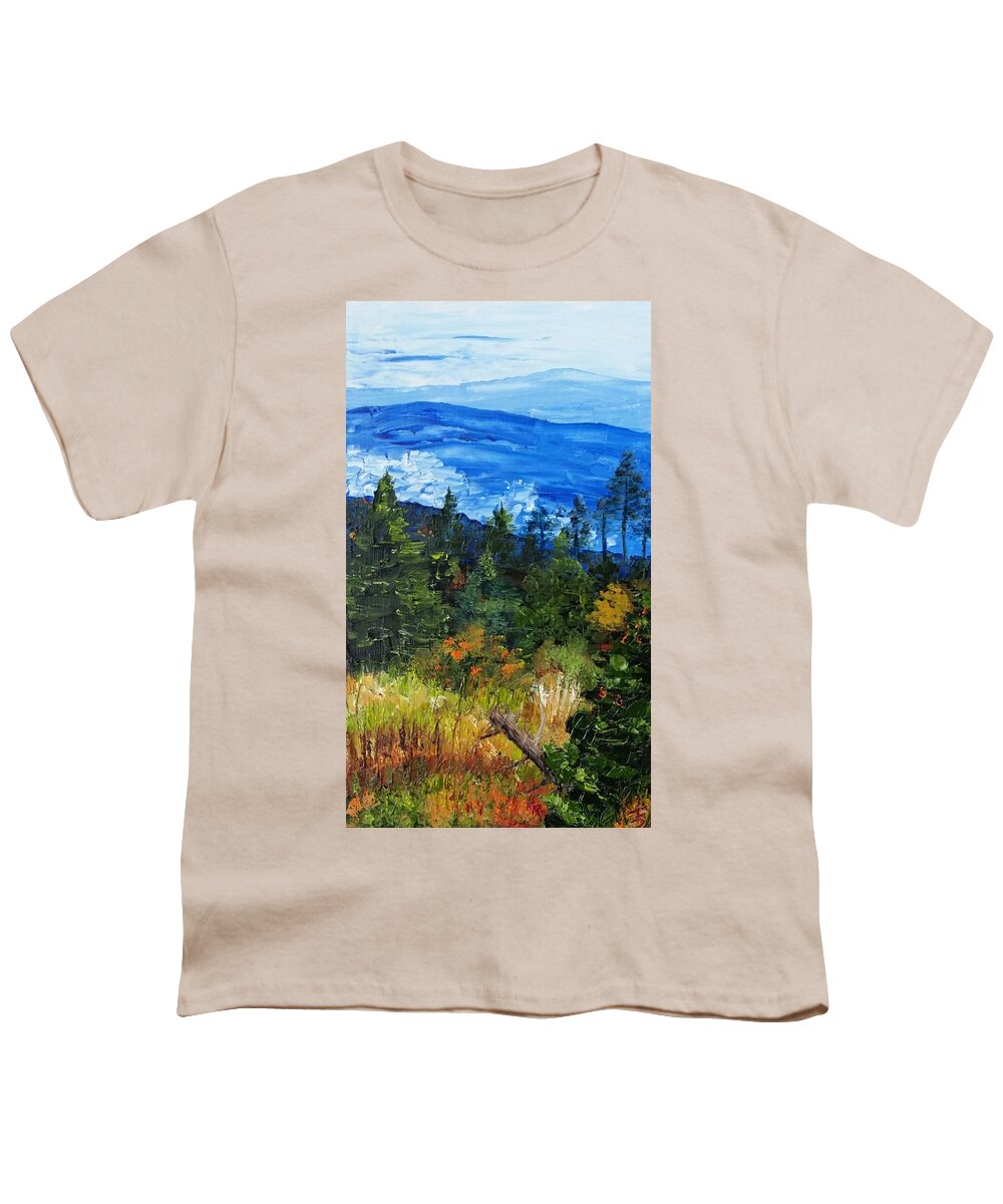 Clouds Youth T-Shirt featuring the painting Low Hanging Clouds by Joanne Stowell