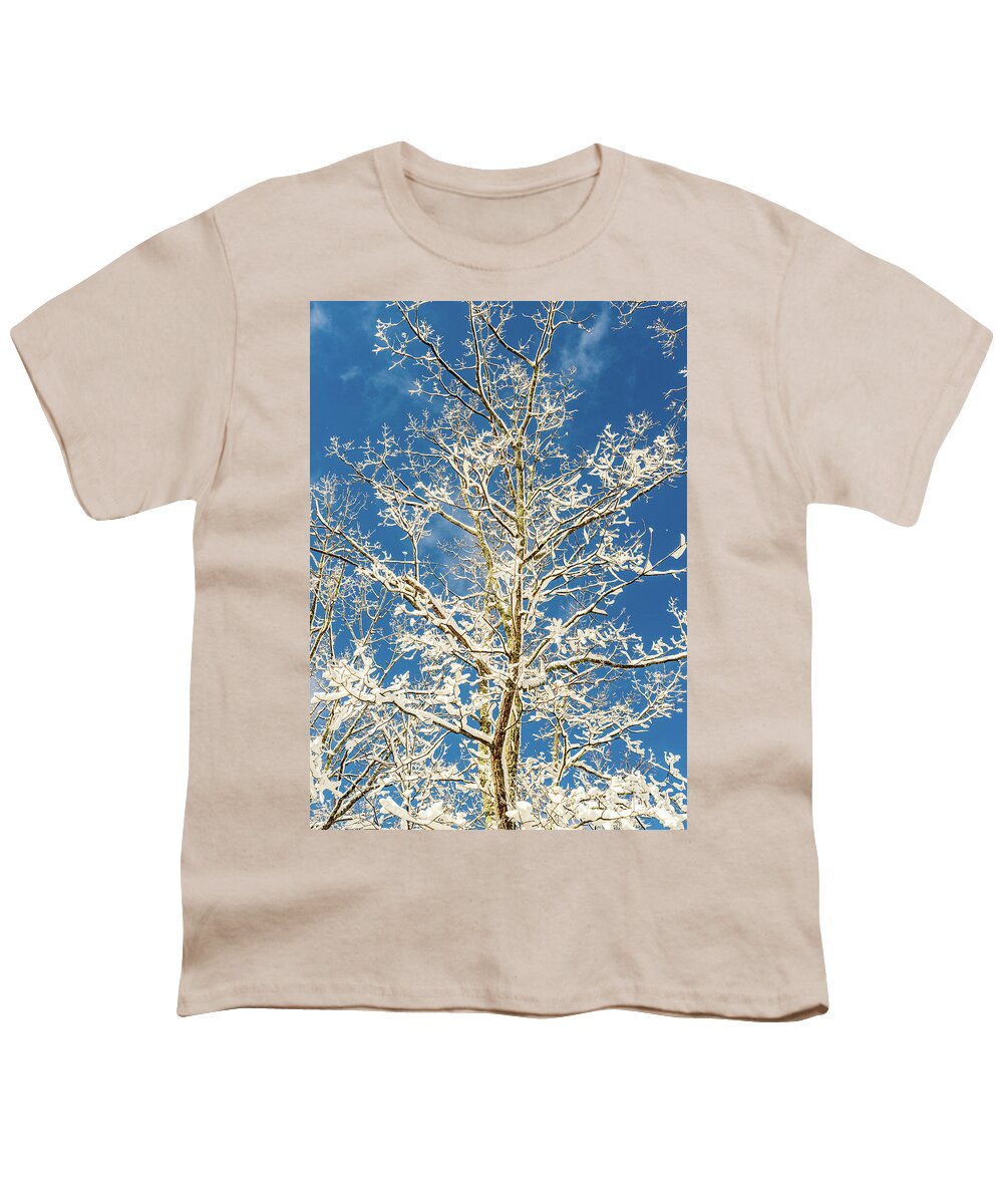Sky Youth T-Shirt featuring the photograph Nature Photography - Winter Tree by Amelia Pearn